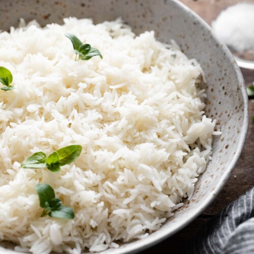 Instant Pot Basmati Rice Recipe Bites with Bri