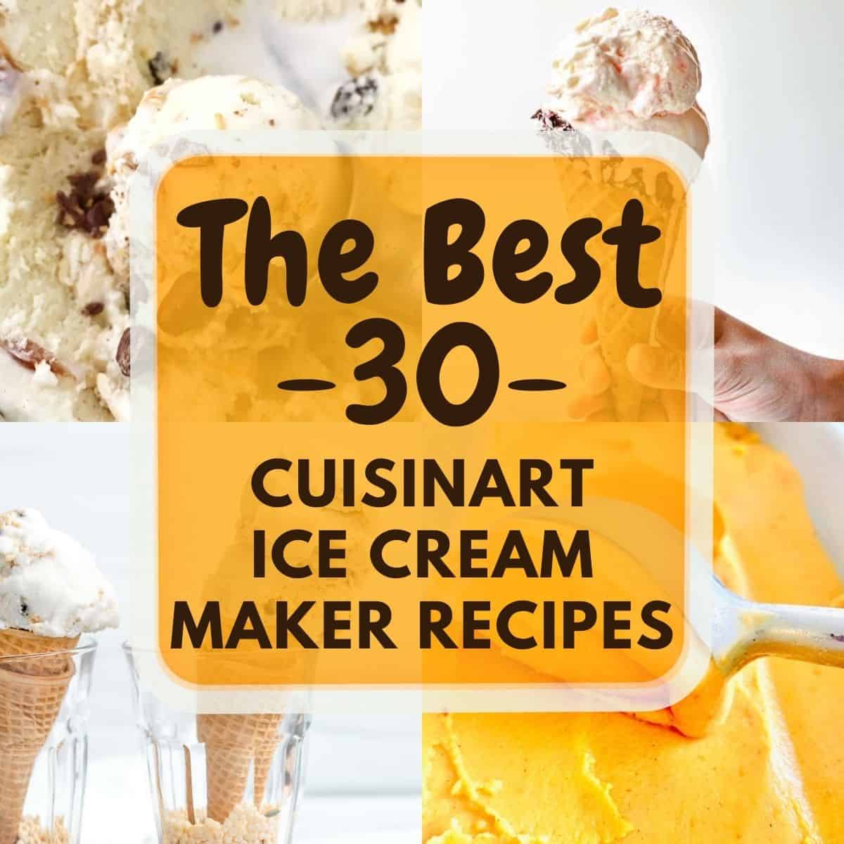 The BEST 30 Cuisinart Ice Cream Maker Recipes Bites with Bri