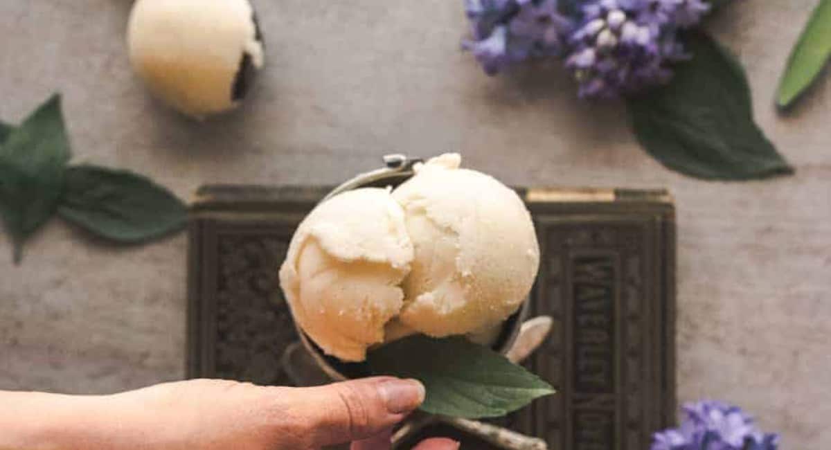 Basil ice cream served in a cup.