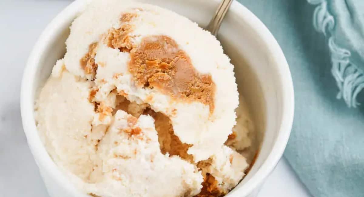 Cookie butter ice cream served in a small white bowl.