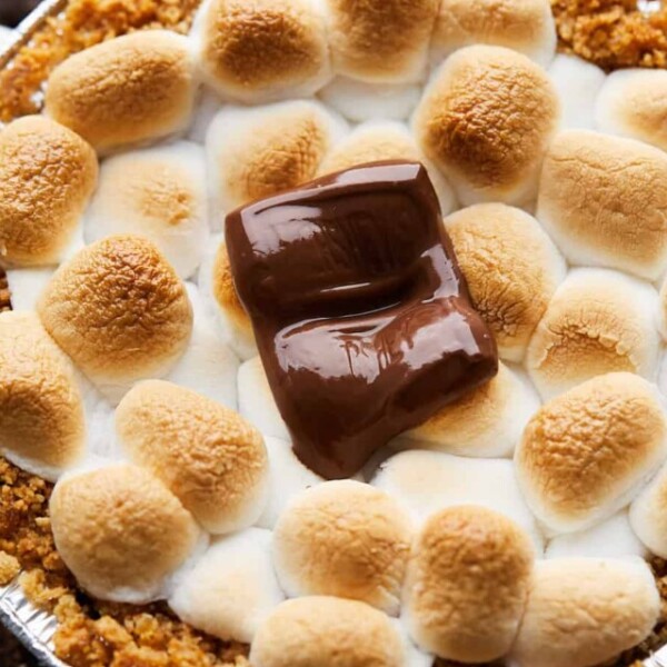 cropped-MiniSmoresPie04.jpg