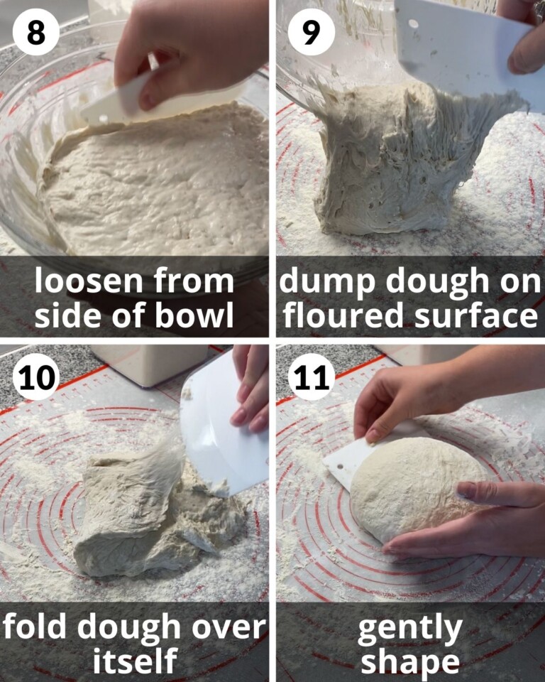 Easy Rustic Bread Recipe (Only 4 Ingredients & No-Knead!) - Bites With Bri