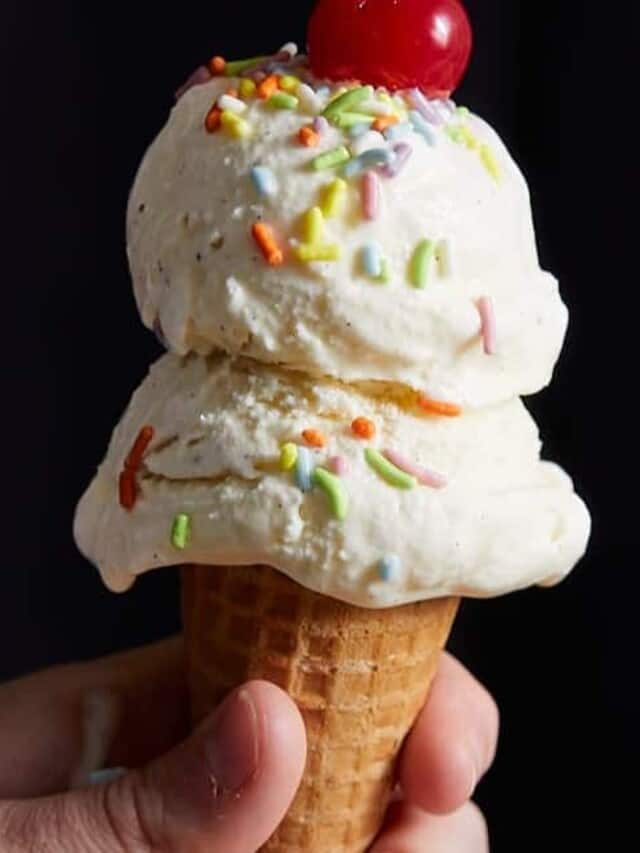 Vanilla Ice Cream Without Eggs Bites with Bri