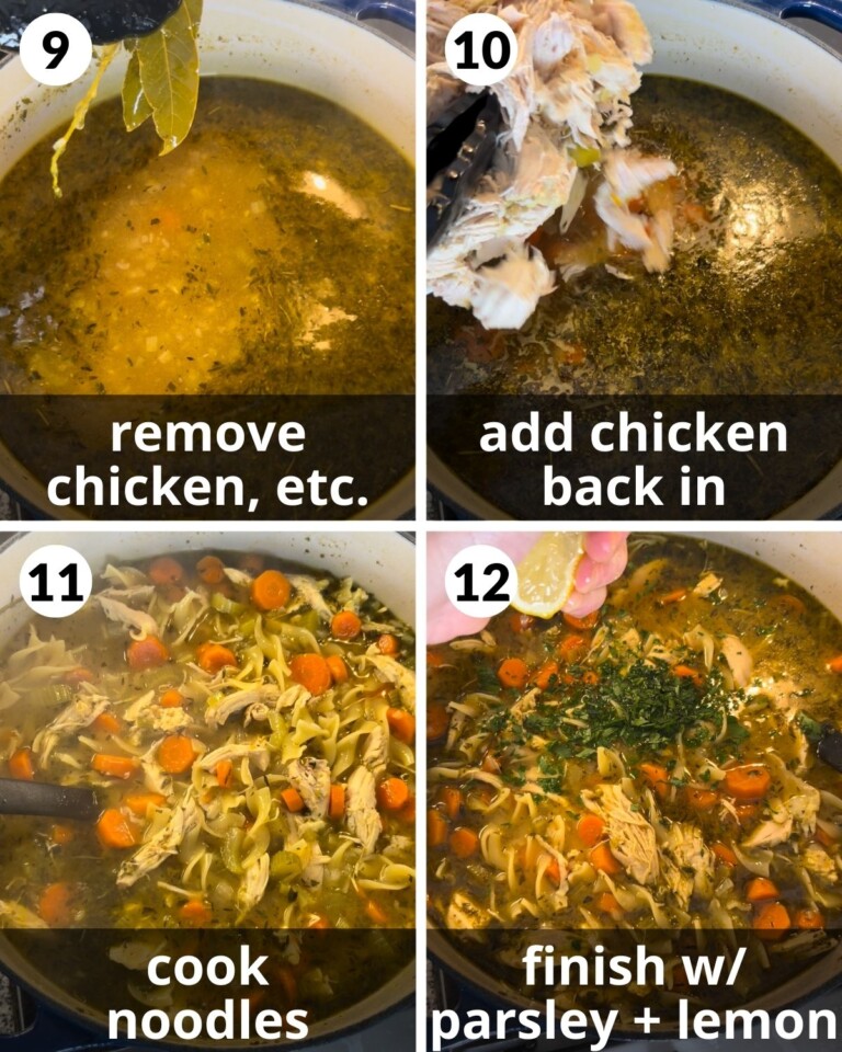 Dutch Oven Chicken Noodle Soup Bites with Bri