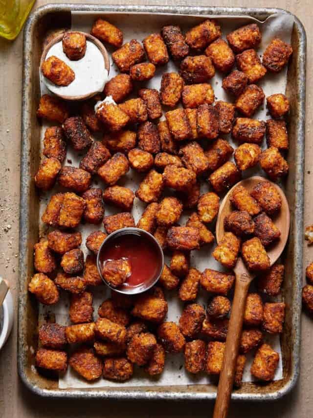 Seasoned Tater Tots Bites with Bri