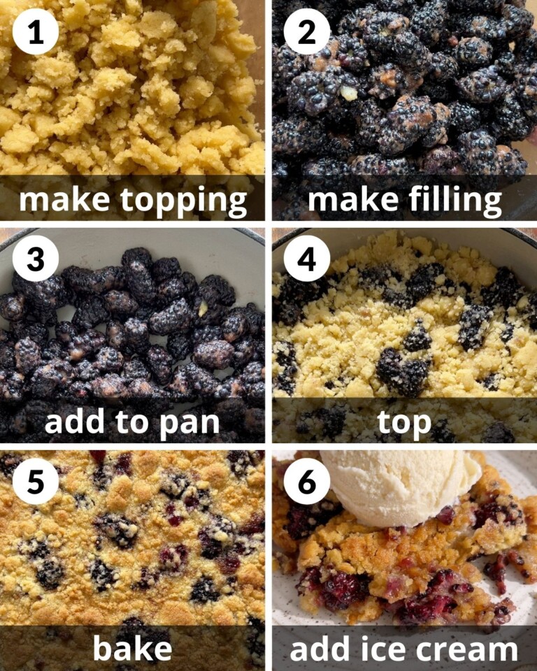 Easy Dutch Oven Blackberry Cobbler Bites with Bri