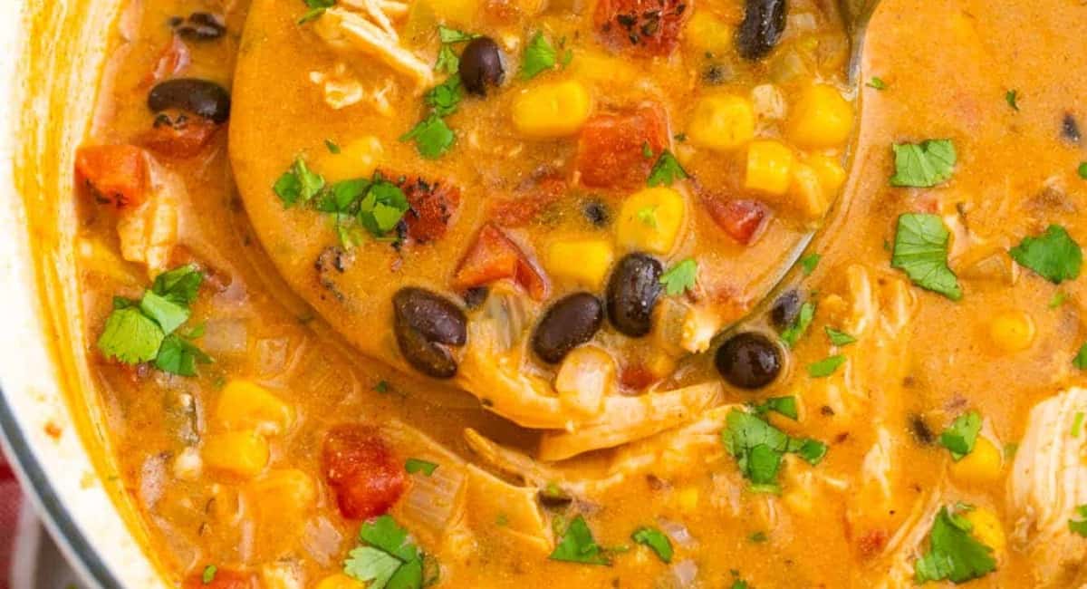 Up close image of chicken enchilada soup.