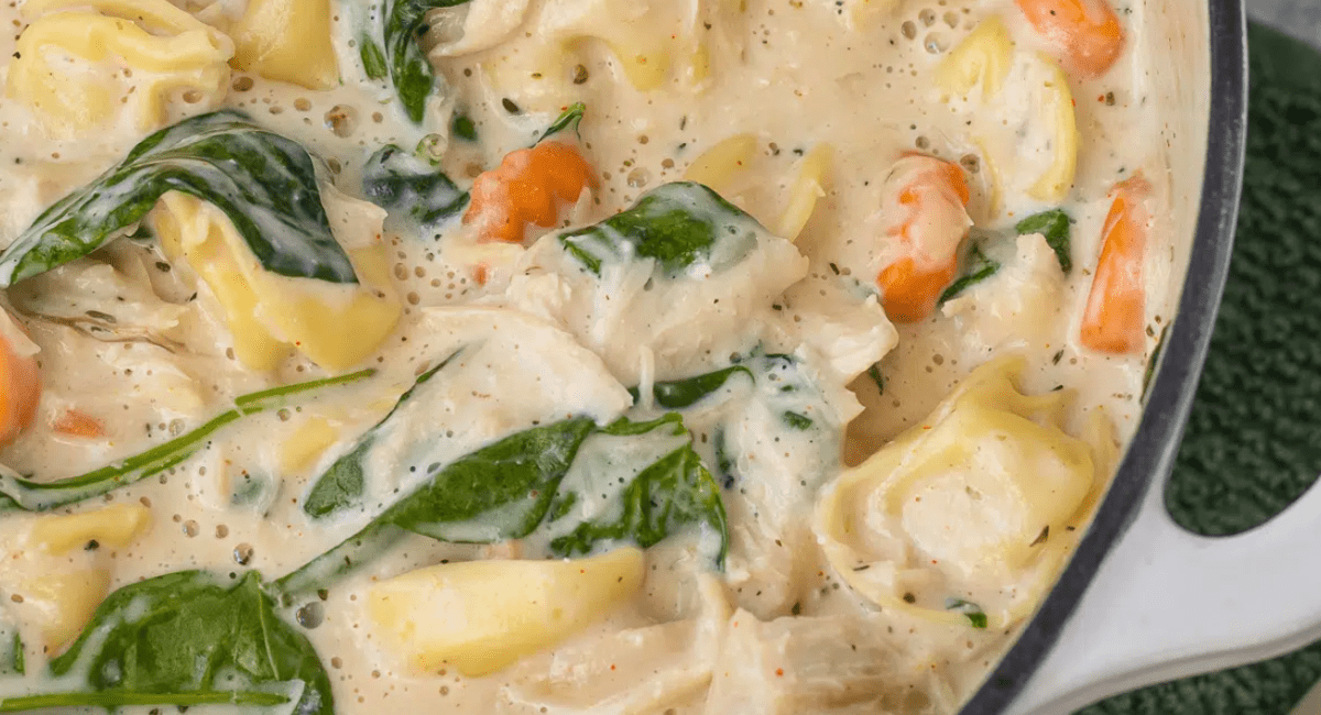 Overhead image of chicken alfredo soup with tortellini.