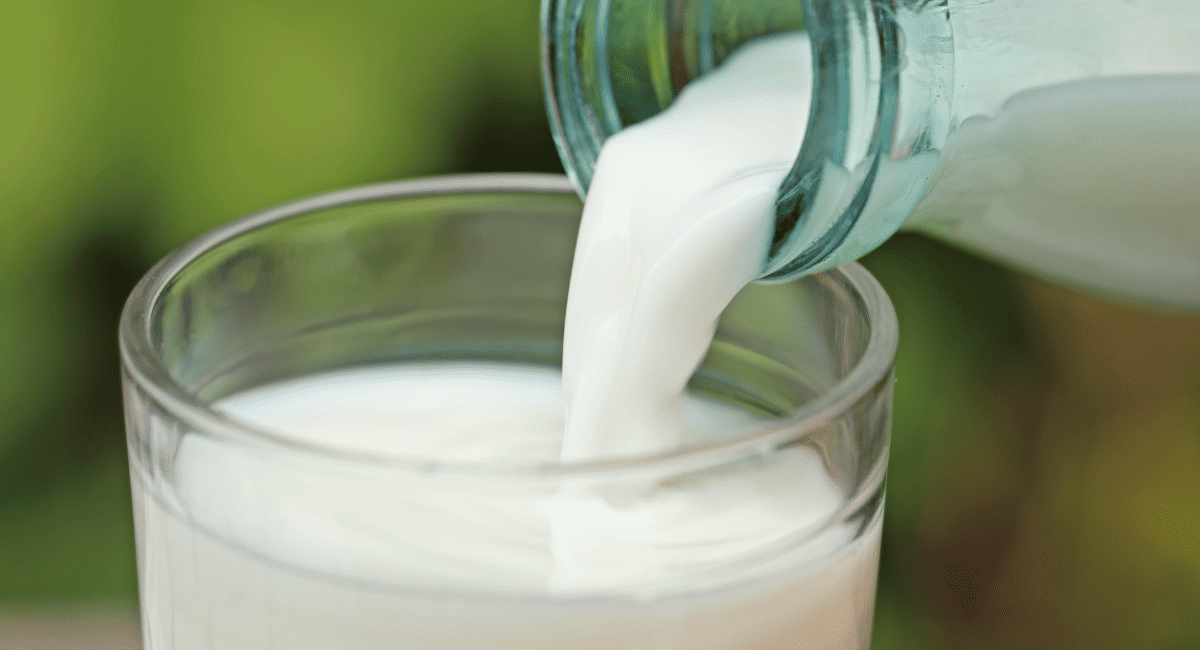 Up close image of regular milk.