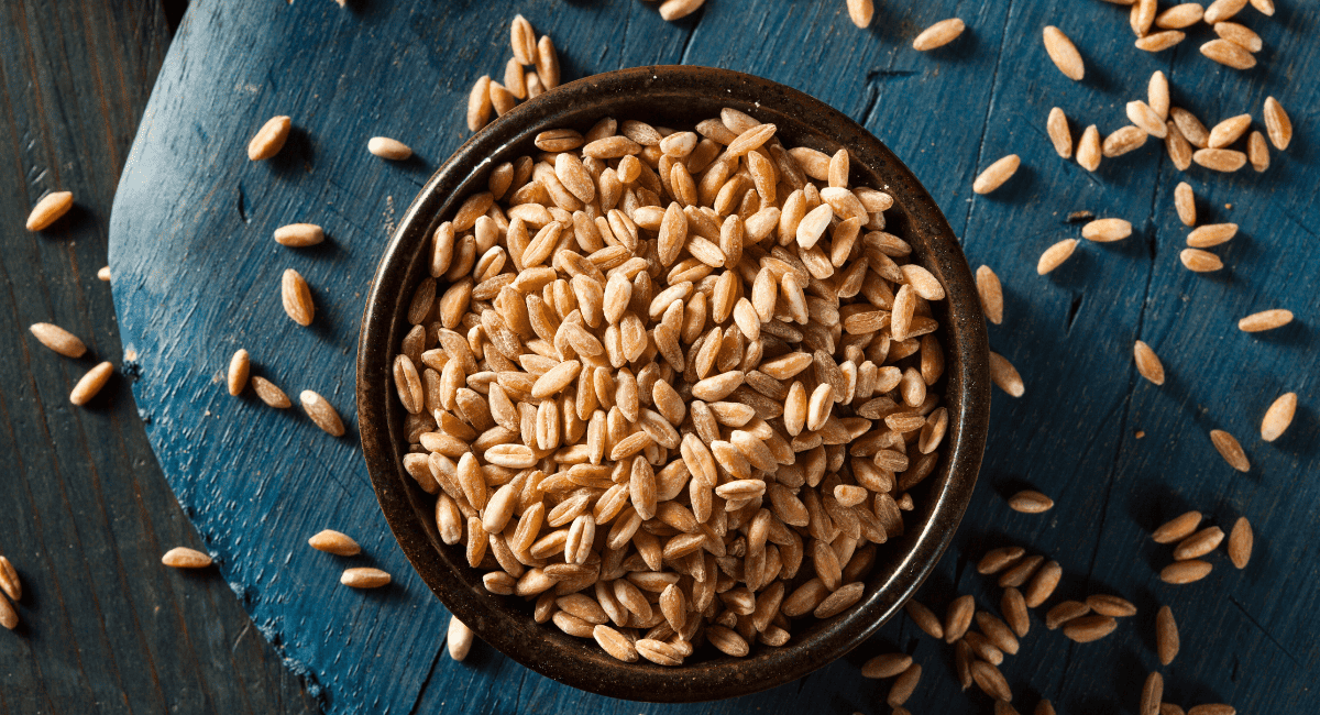 Image of farro in brown bowl.