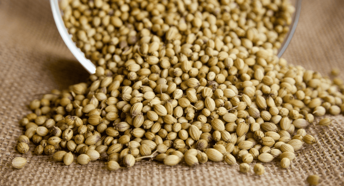 Up close image of lentils.