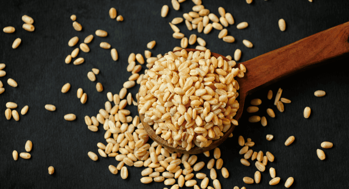 Overhead image of wheat berries grain.