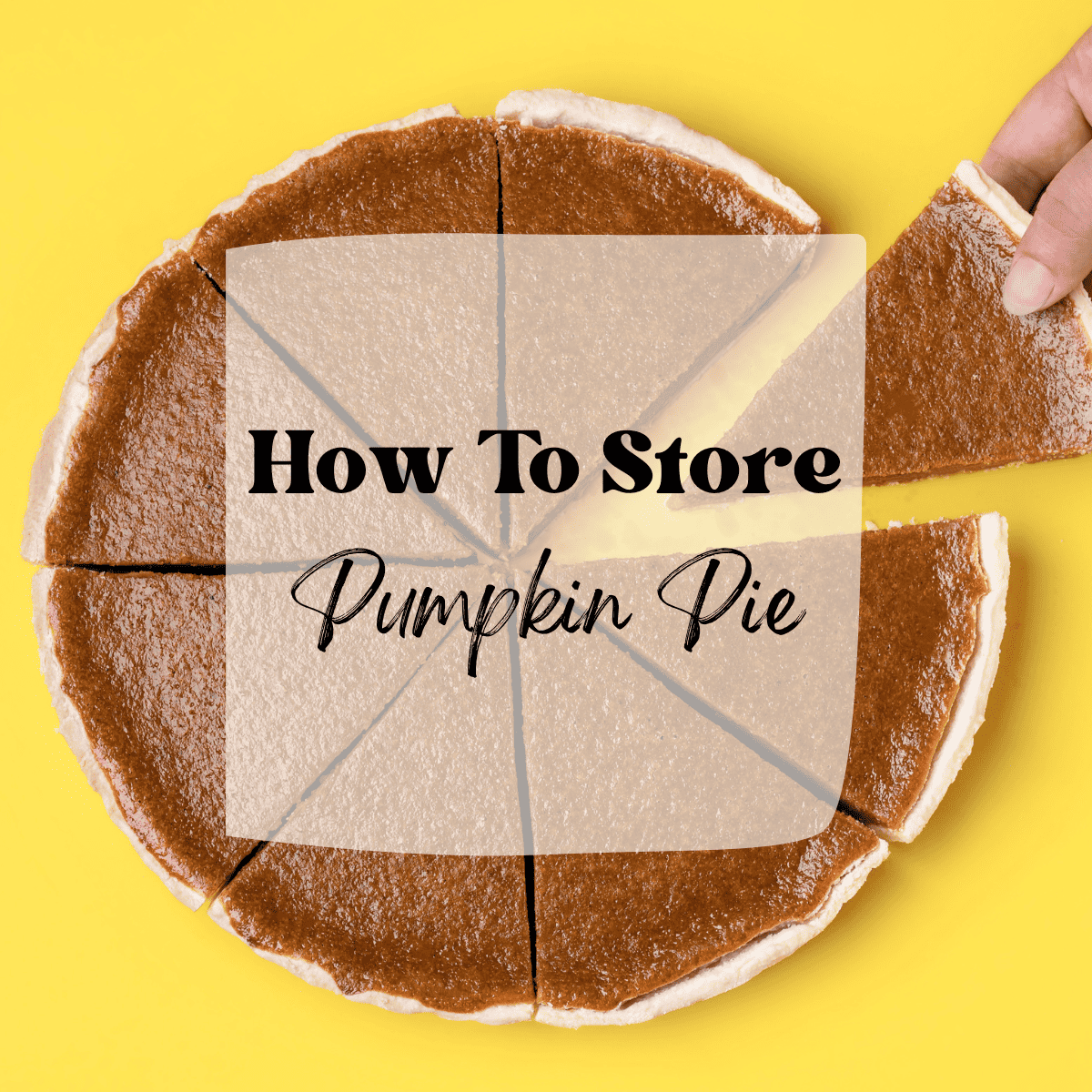 Overhead image of pumpkin pie in slices with text overlay.