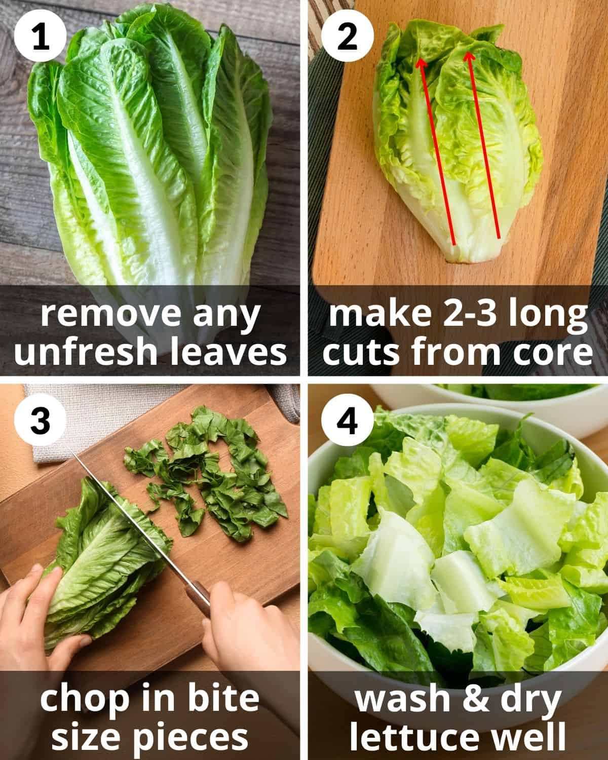 A 4 photo collage showing how to cut romaine lettuce.