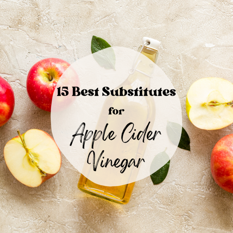 The 15 Best Substitutes for Apple Cider Vinegar Bites with Bri