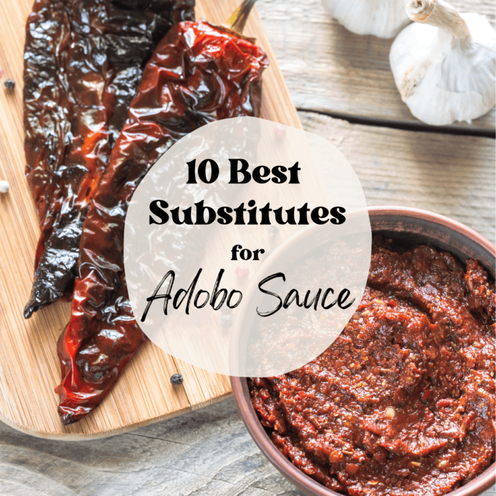 The 10 Best Substitutes for Adobo Sauce Bites with Bri