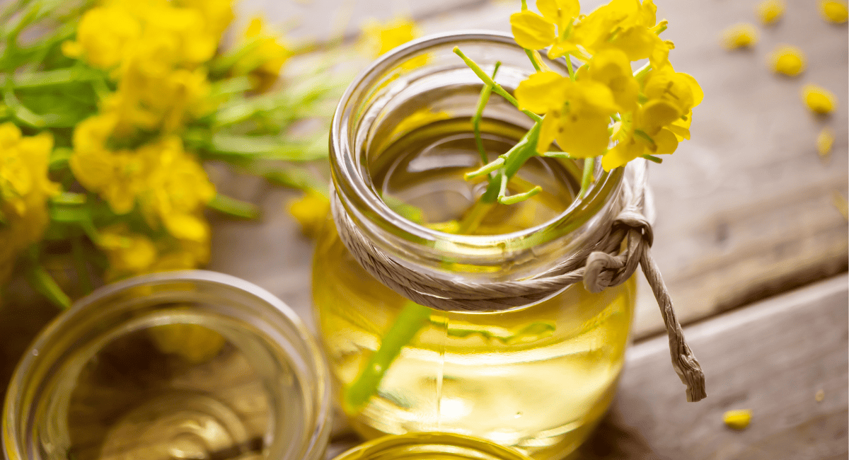 Up close image of canola oil. 