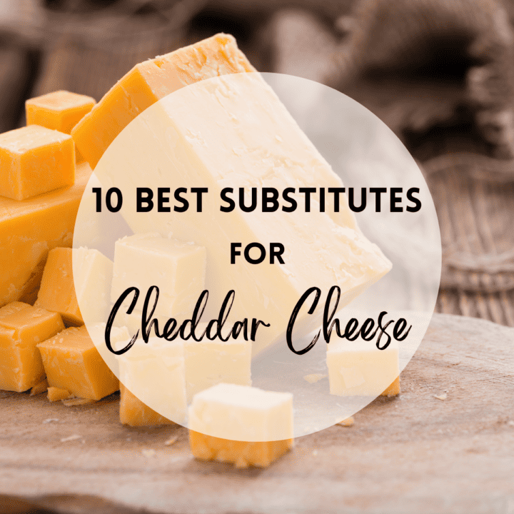 The 10 Best Substitutes for Cheddar Cheese Bites with Bri