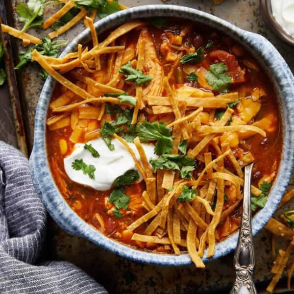 cropped-RotisserieChickenTortillaSoup08.jpg