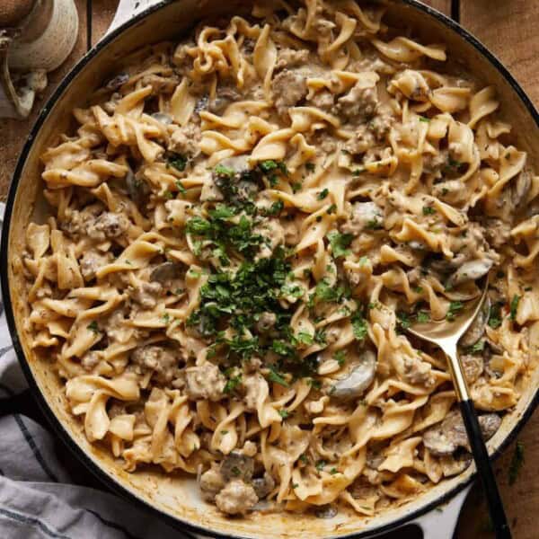 cropped-GroundBeefStroganoff07.jpg