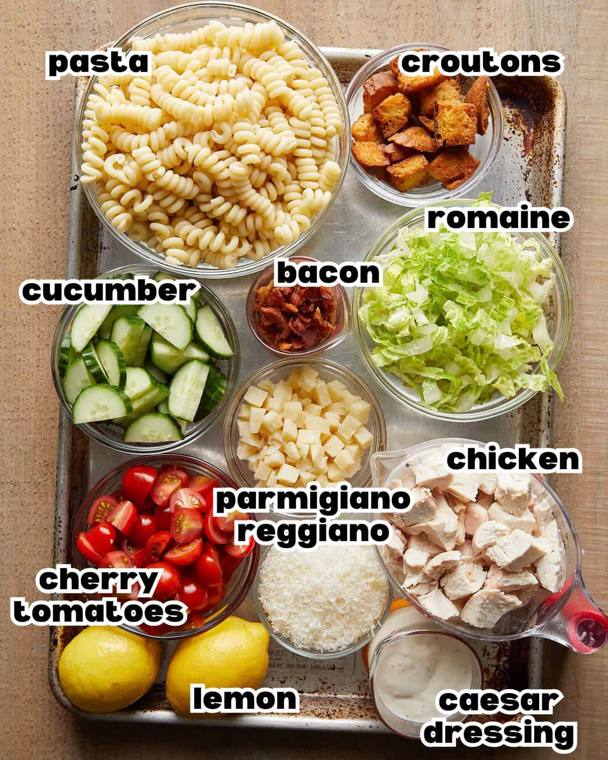 Overhead image of ingredients needed to make chicken caesar pasta salad. 