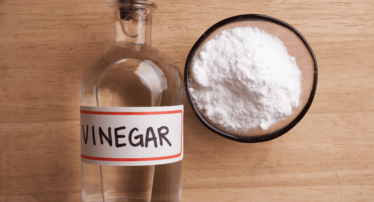 Overhead image of white distilled vinegar in liquid and powder form. 