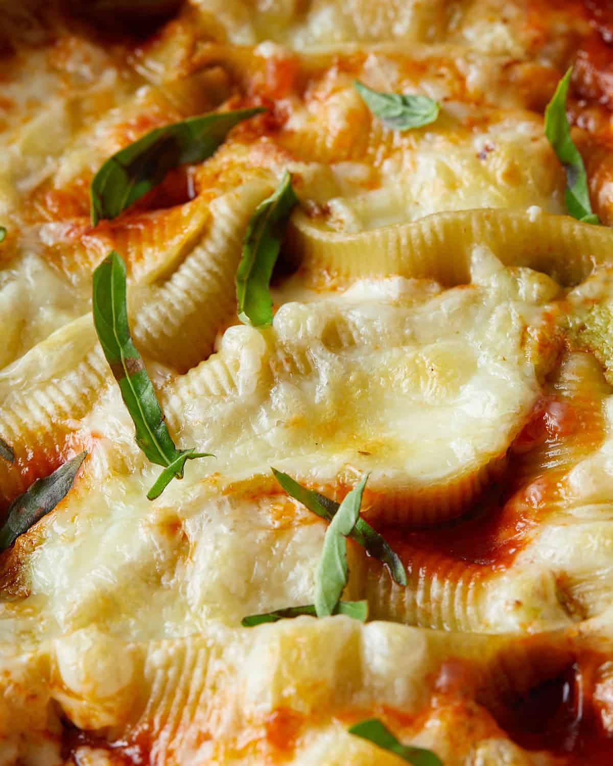 Up-close view of baked stuffed shells with melted cheese and fresh herb garnish.