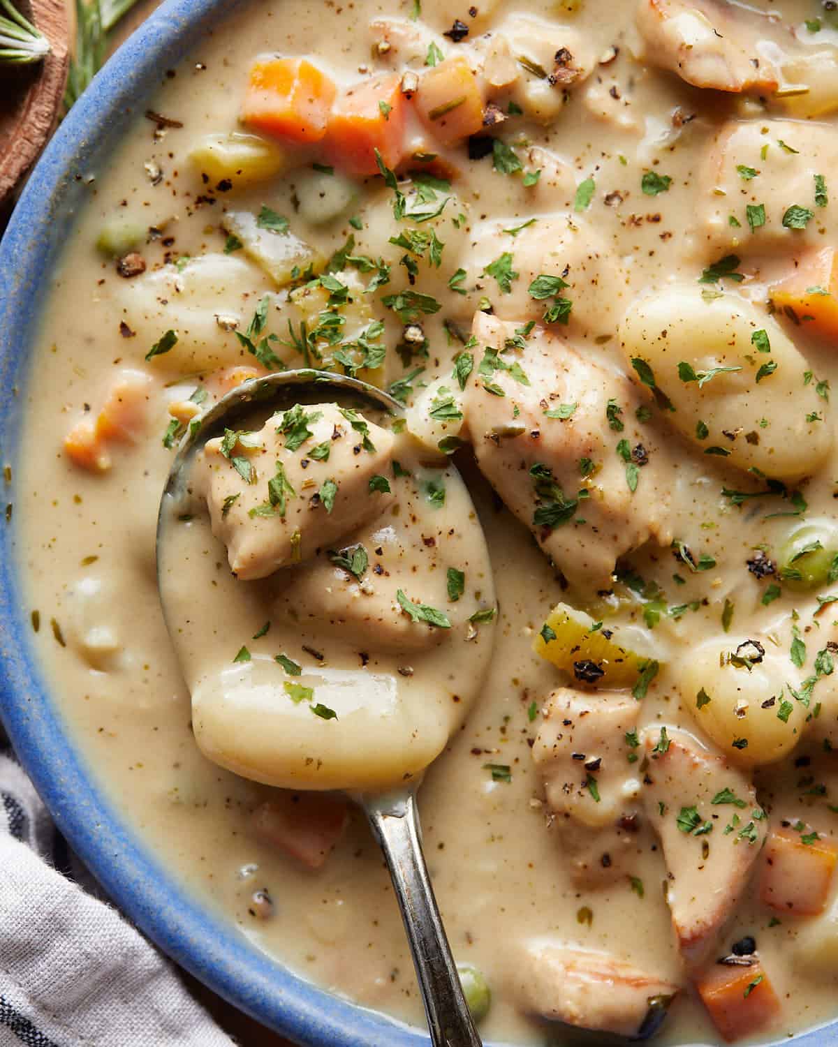 Overhead up close image of chicken and dumplings with gnocchi. 